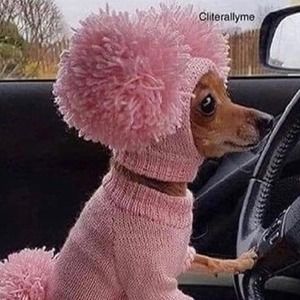 Meet your Posher, Ruthie